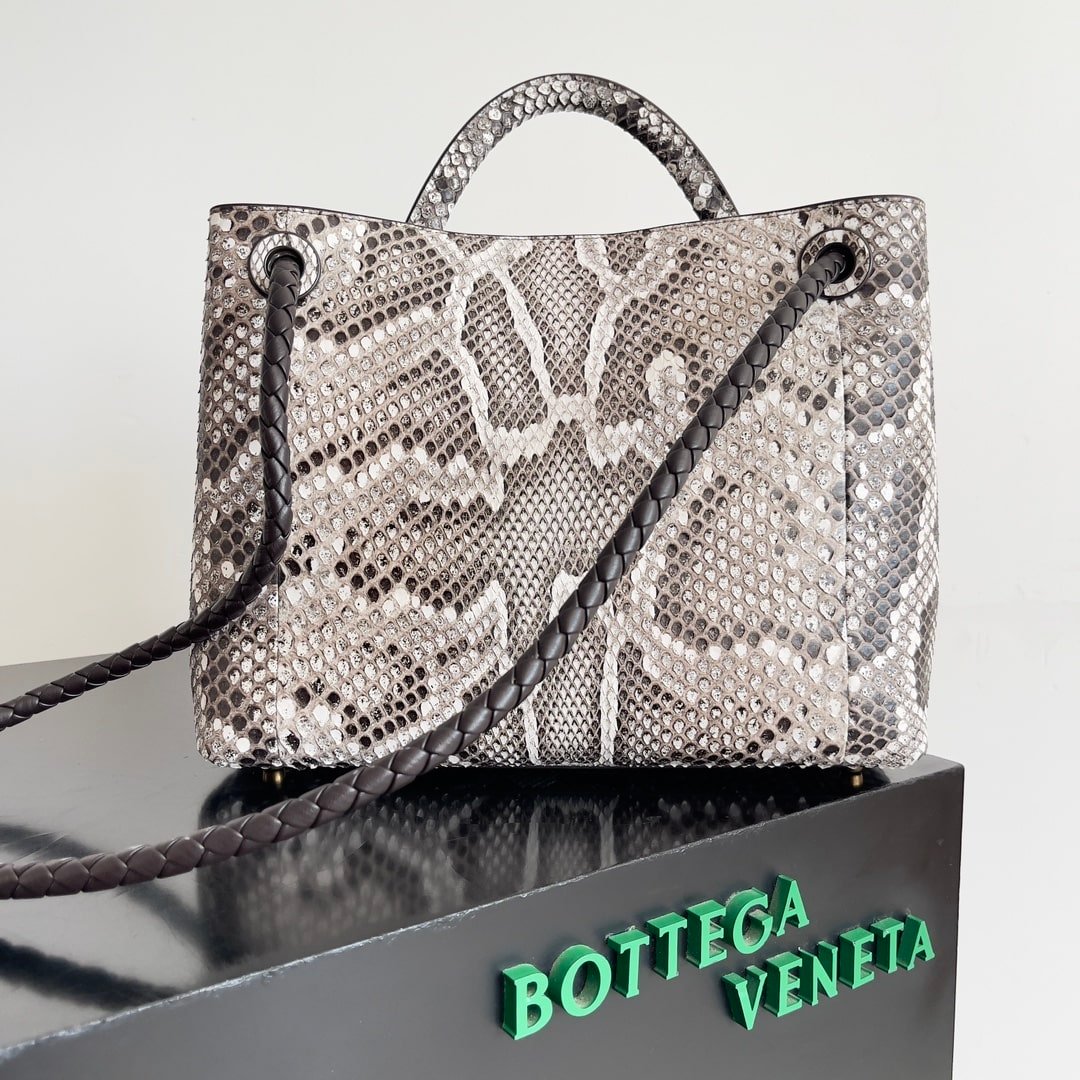 Bottega Veneta Andiamo Python Roccia Bag
