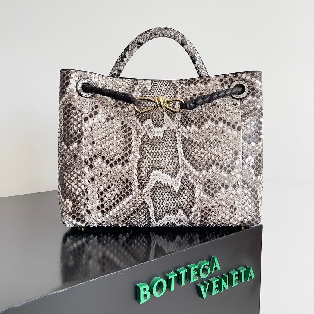 Bottega Veneta Andiamo Python Roccia Bag