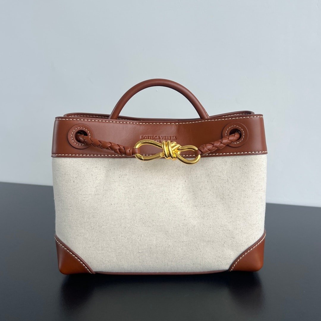 Bottega Veneta Andiamo Handbag