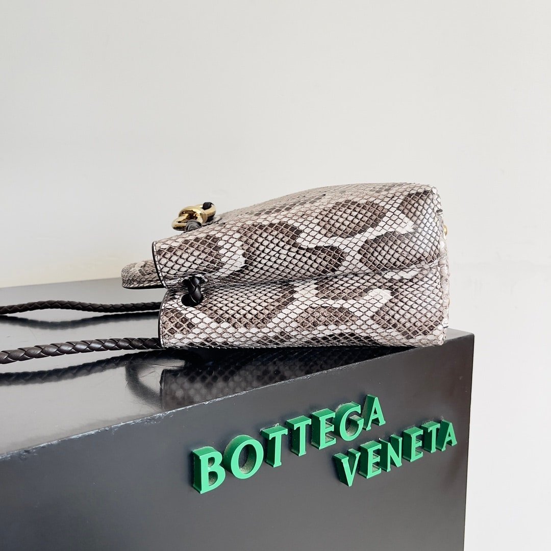 Bottega Veneta Andiamo Python Roccia Bag