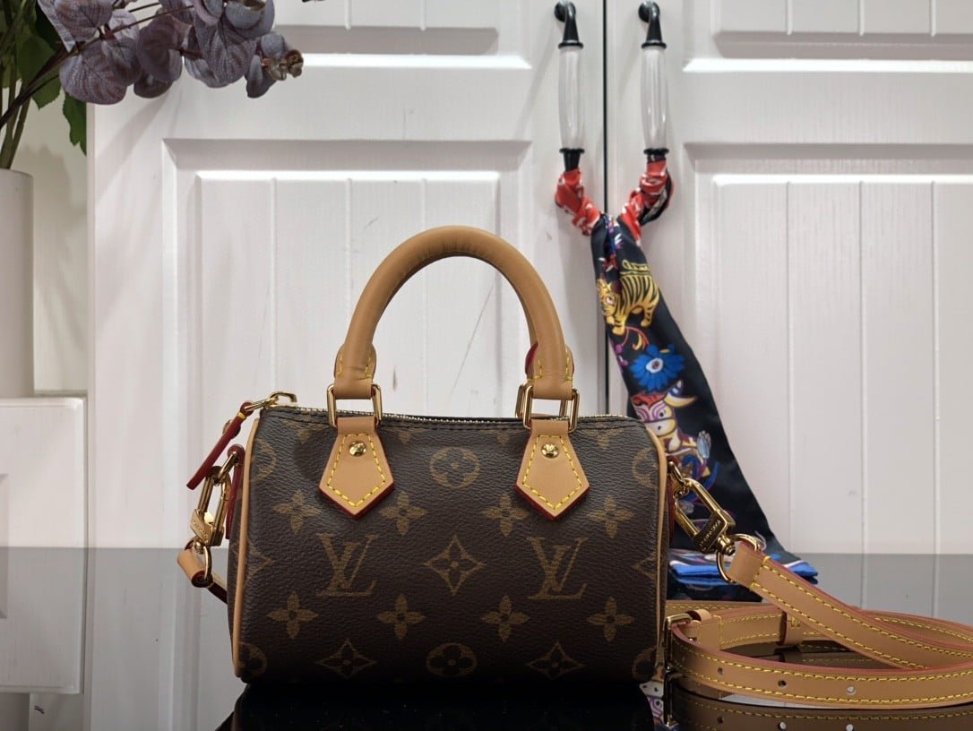 Louis Vuitton LV Monogram Nano Speedy