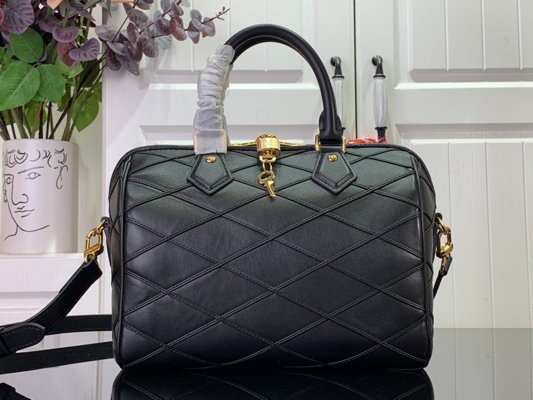 Louis Vuitton LV Speedy Bandoulière 25 Black