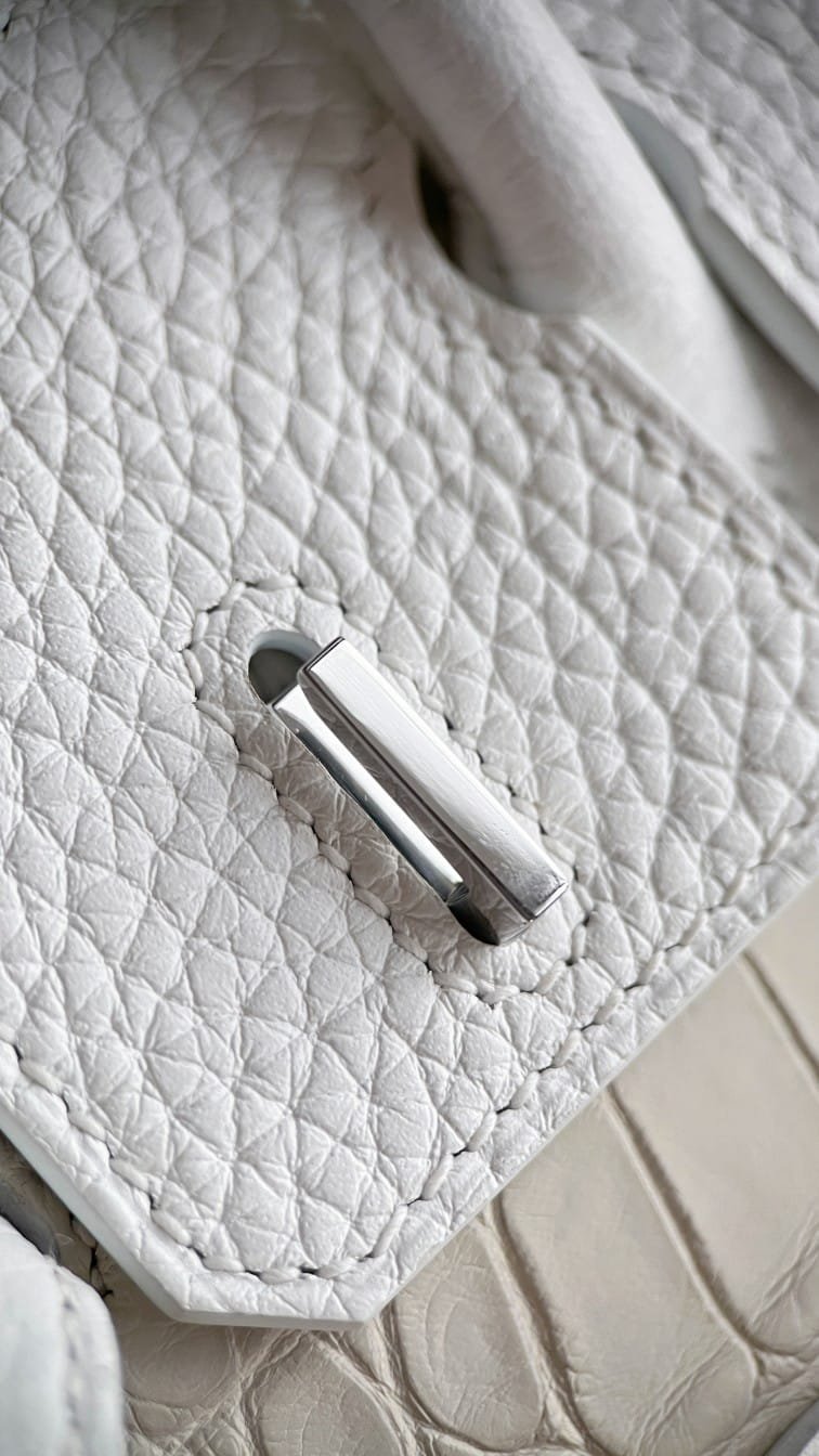 Hermès Birkin 20 Faubourg
