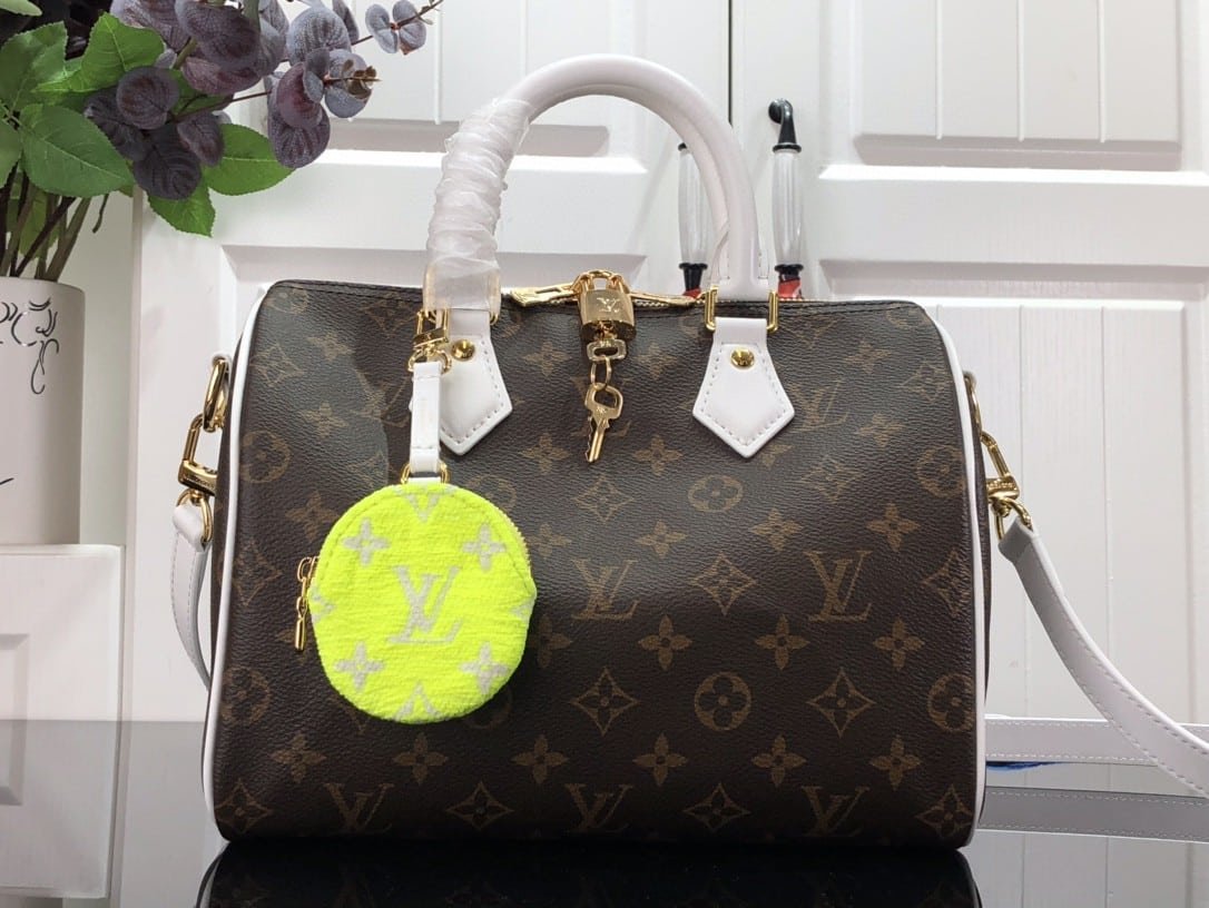 Louis Vuitton LV Monogram Speedy Bandoulière 25