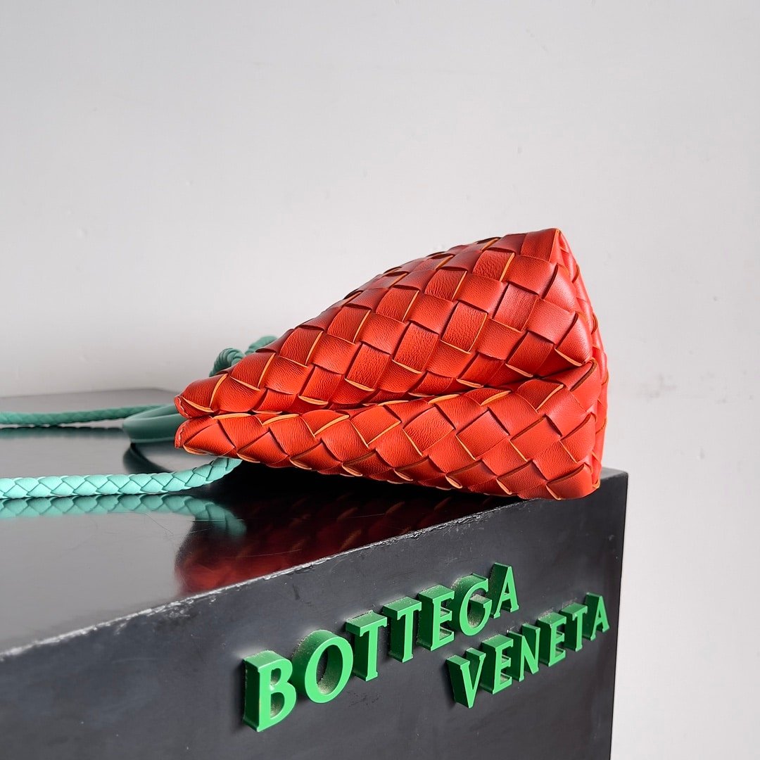 Bottega Veneta Andiamo Bag