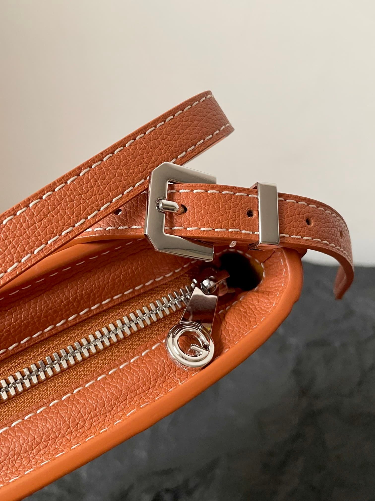 Goyard Hirondelle Leather Bag