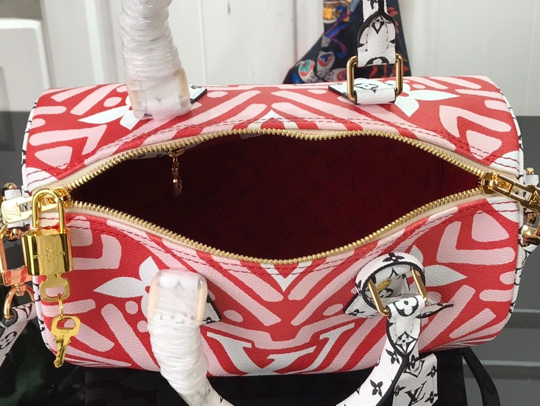 Louis Vuitton LV Crafty Speedy