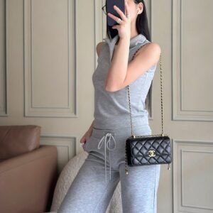 Chanel Perfect Fit Flap Bag
